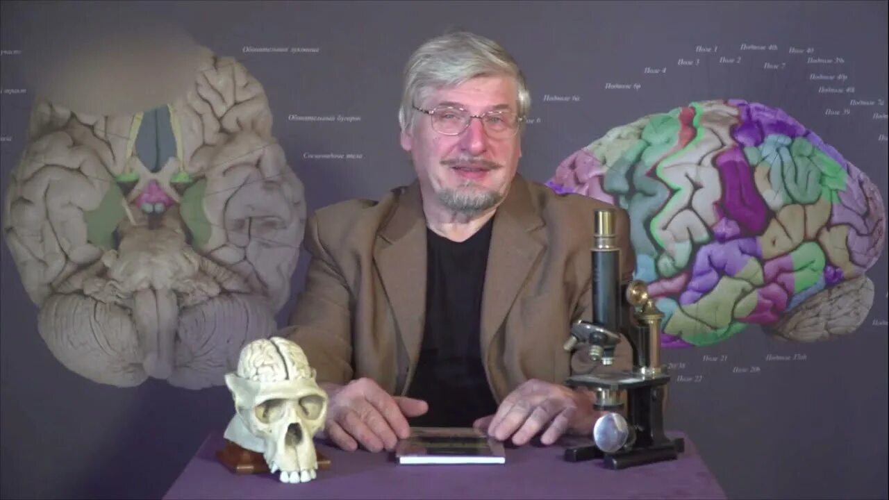 Сергей савельев в молодости. Профессор мозги. Сергей савельев кострома. Сергей савельев ученый. Сергей савельев в молодости.