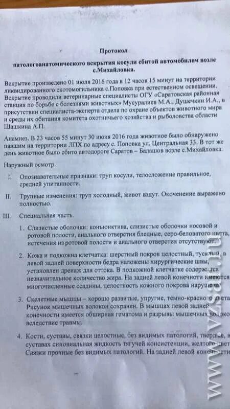 Протокол вскрытия умершего. Протокол вскрытия трупа человека. акт вскрытия трупа животного. протокол вскрытия образец. протокол патологоанатомического вскрытия.
