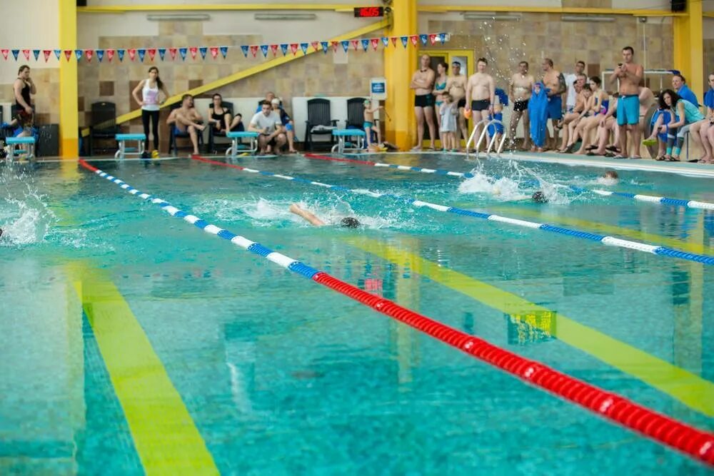 спортзал динамо бокс. секции в железнодорожном. секции в железнодорожном. школа дмитрия яковлева балашиха. зал бокса в екатеринбурге.