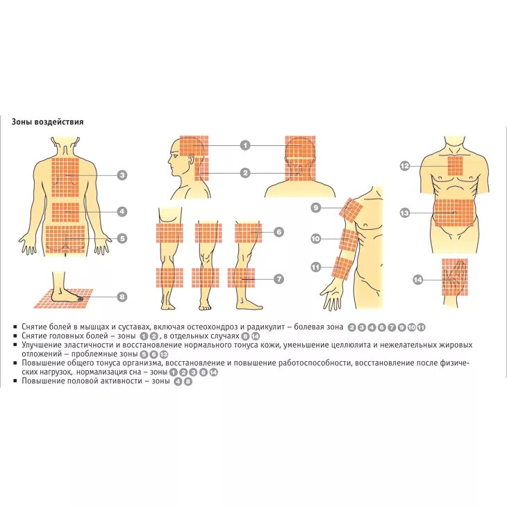 Аппликатор Кузнецова зоны воздействия. Аппликатор Кузнецова точки воздействия. Аппликатор Кузнецова зоны воздействия органы. Аппликатор Кузнецова зоны на спине. Аппликатор при болях в пояснице