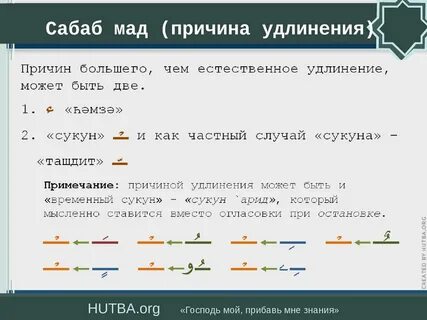 Сколько мад
