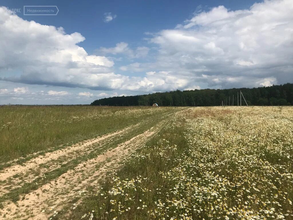 Земельные участки в воскресенске. Полевая земля. Земельные участки в воскресенске. Снт малинки 2. Земельные участки в воскресенске.