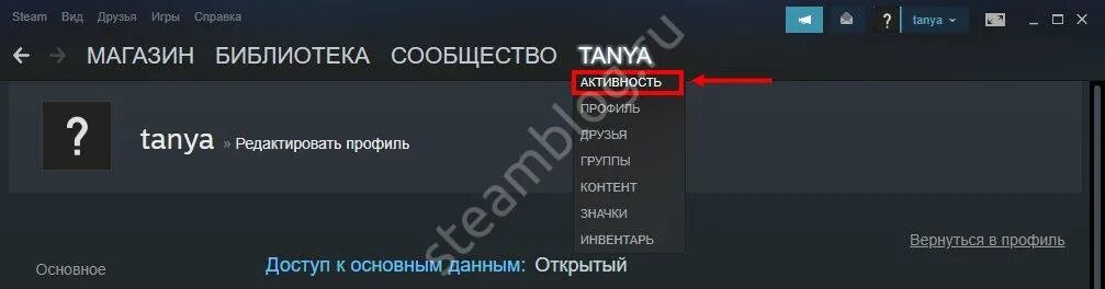 Как включить невидимку в стим. Режим невидимки в стиме. как включить невидимку в стиме. как включить режим невидимки в стим. как сделать невидимку в стиме.