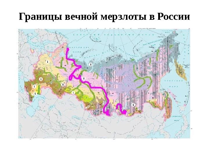 Вечная мерзлота в россии на карте. Карта многолетней мерзлоты в России. Граница вечной мерзлоты в России на карте. Граница вечной мерзлоты в России. Граница распространения многолетней мерзлоты.