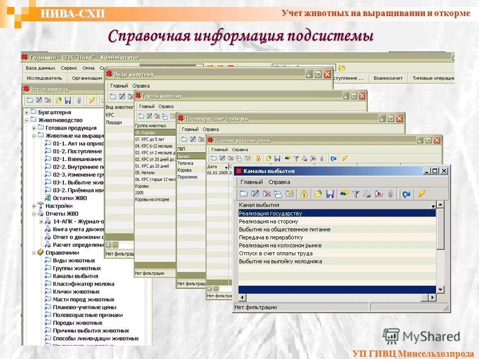 Приложения для крс. Программа учета животных. Программа учета животных. Учёт крупного рогатого скота. Селэкс молочный скот.