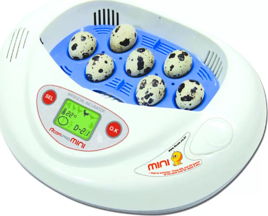 Цифровой инкубатор sititek 56 led. Промышленный инкубатор для яиц. Инкубатор biotorg wq-32 желтый. Инкубатор 528. Цифровой инкубатор sititek 56 led.