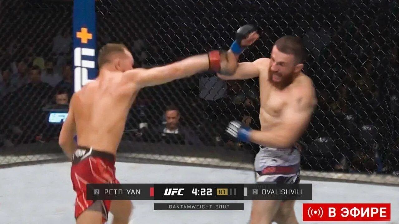 Читать бои в прямом эфире. Манхва борьба. Борьба в прямом эфире манхва персонажи хобин. Ufs прямой эфир. Борьба в прямом эфире.