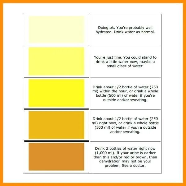 Какой должна быть моча в норме. Насыщенный желтый цвет мочи. Бледно желтый цвет мочи. Моча лимонного цвета. Нормальный цвет мочи.