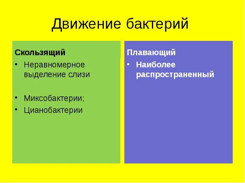 Передвижение бактерий. Движение бактерий. Типы движения бактерий. Движение микроорганизмов это. Передвижение микроорганизмов.