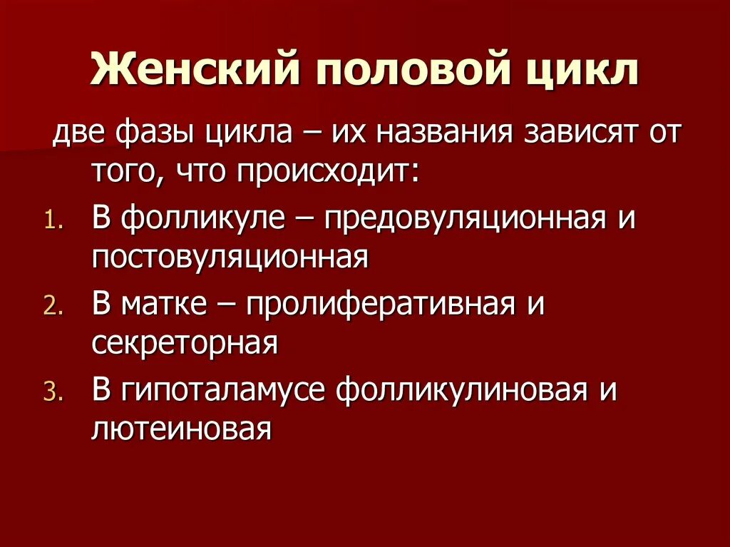 Мужской половой цикл