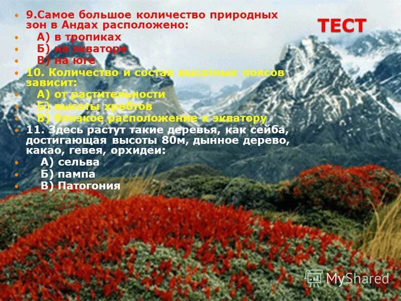 От чего зависит количество природных зон. Понятие высотная поясность в географии. Схема высотной поясности урала. Высотная поясность гор россии таблица. Природные зоны евразии высотная поясность.