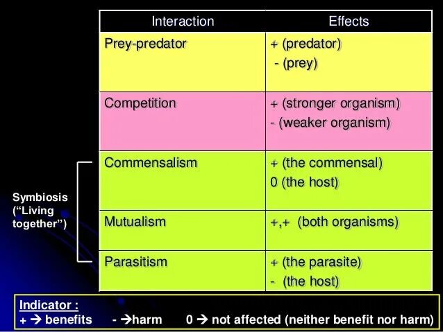 Interaction перевод. Predator Prey Worksheet. Symbiotic Organisms search. The Organism биография музыканта. «Organism der Sprache» Беккер.