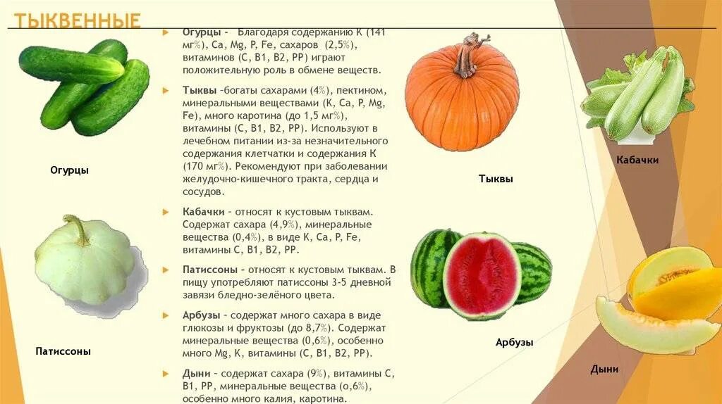 Какие химические вещества содержатся в арбузе. Тыквенные овощи классификация. Различия огурца и тыквы. Что содержится в тыквенных овощах. Таблица с семейством тыквенных.