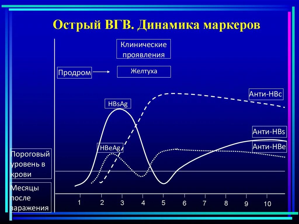 Маркеры ВГВ. Острый ВГВ. Клинические проявления ВГВ. Маркеры острого ВГВ:.