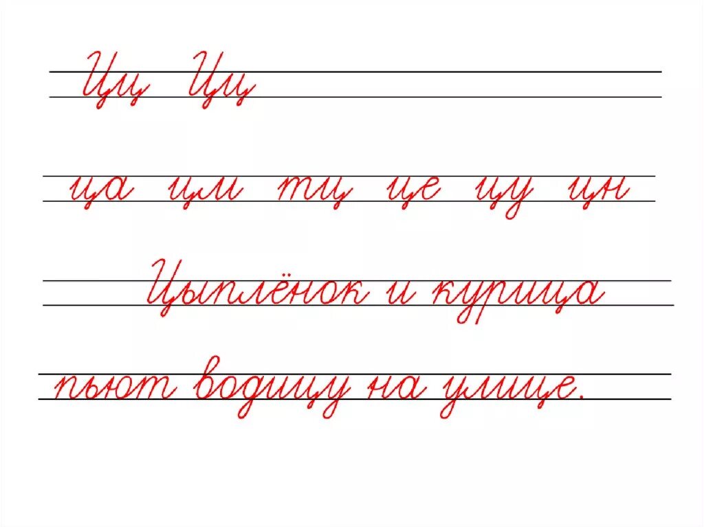 Урок письма заглавная буква ц. Чистописание. чистописание буква ц. минутка чистописания 1 класс. минутка чистописания соединение букв.
