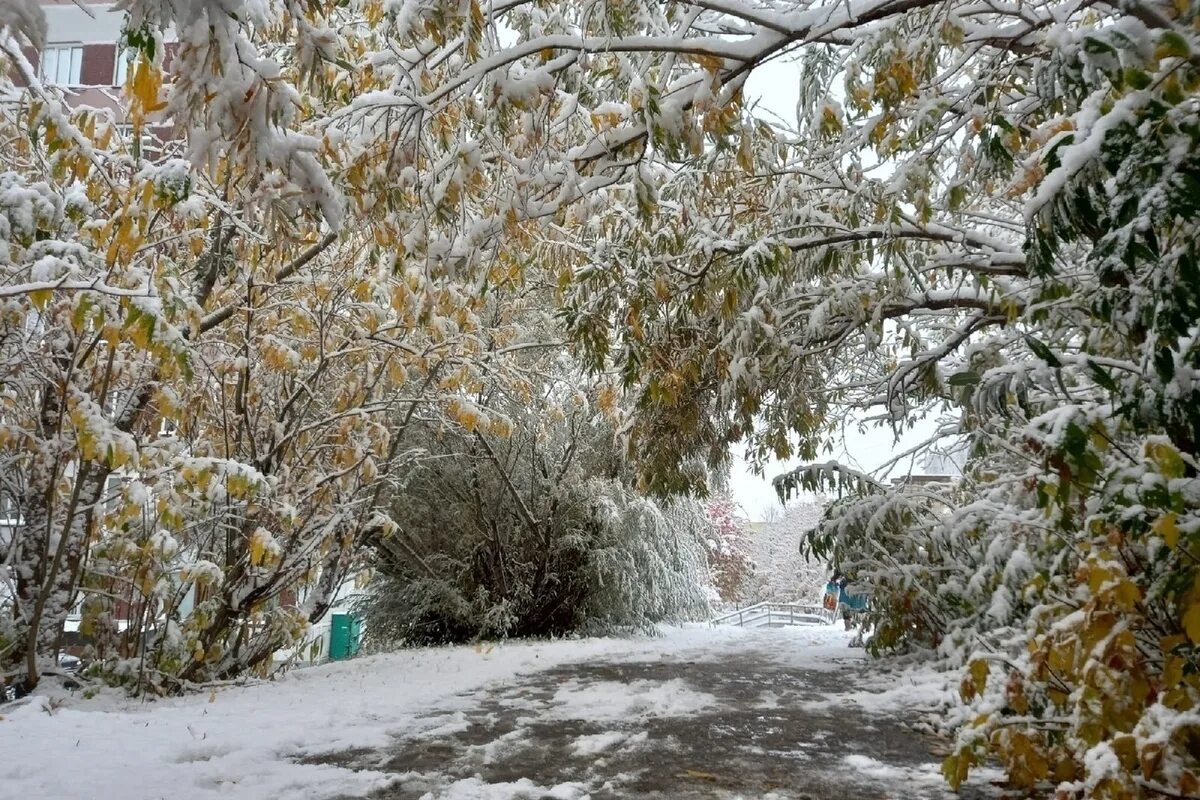 Новосибирск зимой. Снег фото. Небольшой снег. Похолодание в Новосибирске.