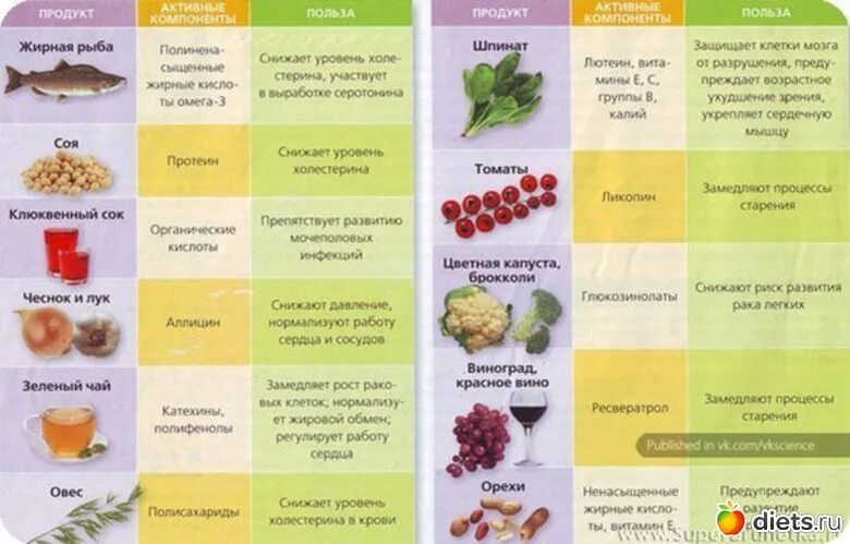 Список полезной еды. Список полезных продуктов. Польза продуктов. Полезные продукты питания список.