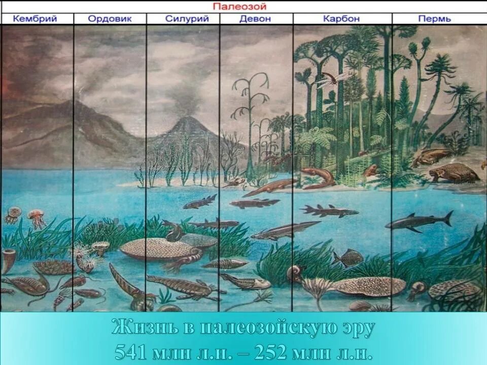 Какая эра палеозойская. Палеозойская Эра периоды. Палеозой Эра Возраст. Жизнь в палеозойскую эру. Эры Архей протерозой палеозой.