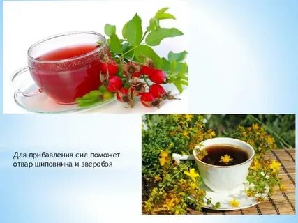 Польза заваренного шиповника