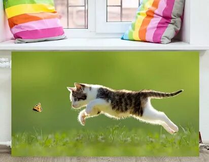 Экран на котиков