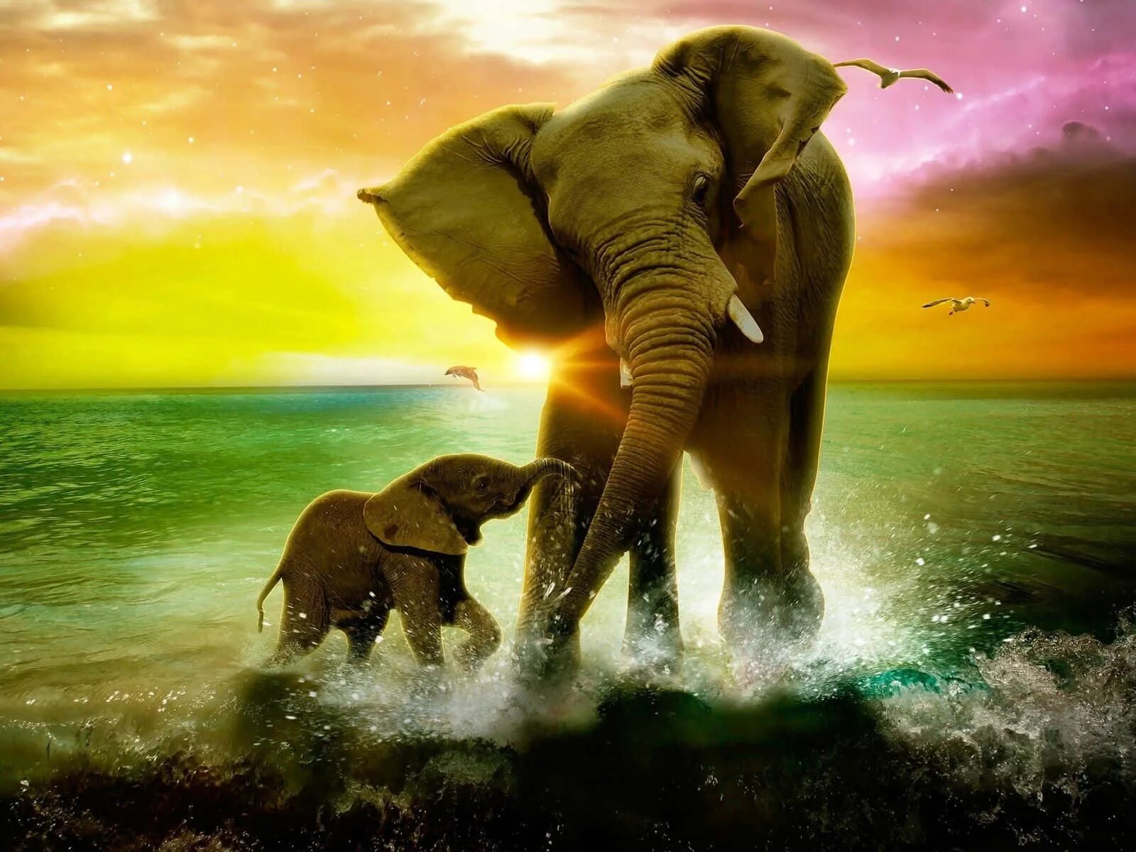 Father elephant. Слоны. Красивый слон. Картинки на рабочий стол слоны. Картина слон.