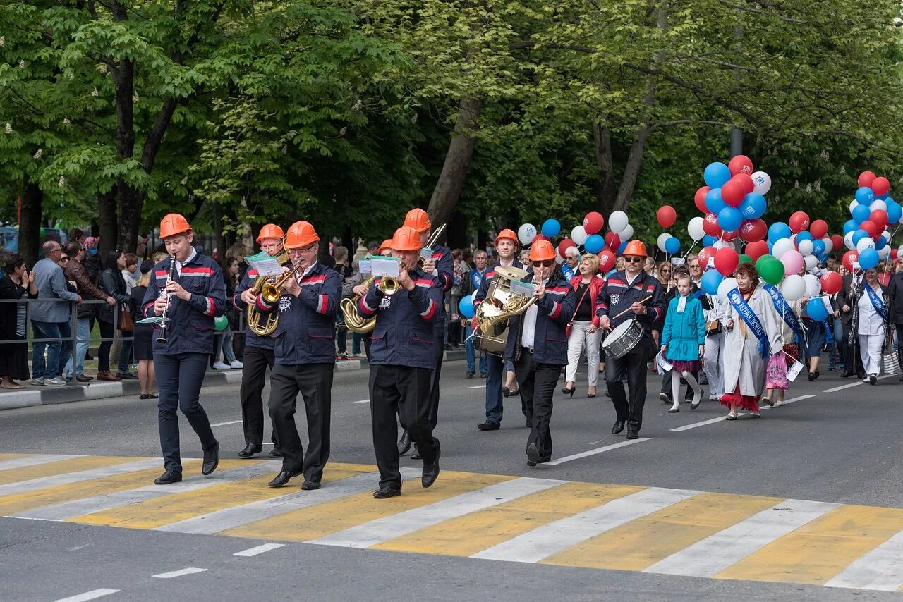 Парад народ. Люди на параде. Колонна людей на параде. Картинка парад с цветами. Парад костюмов.