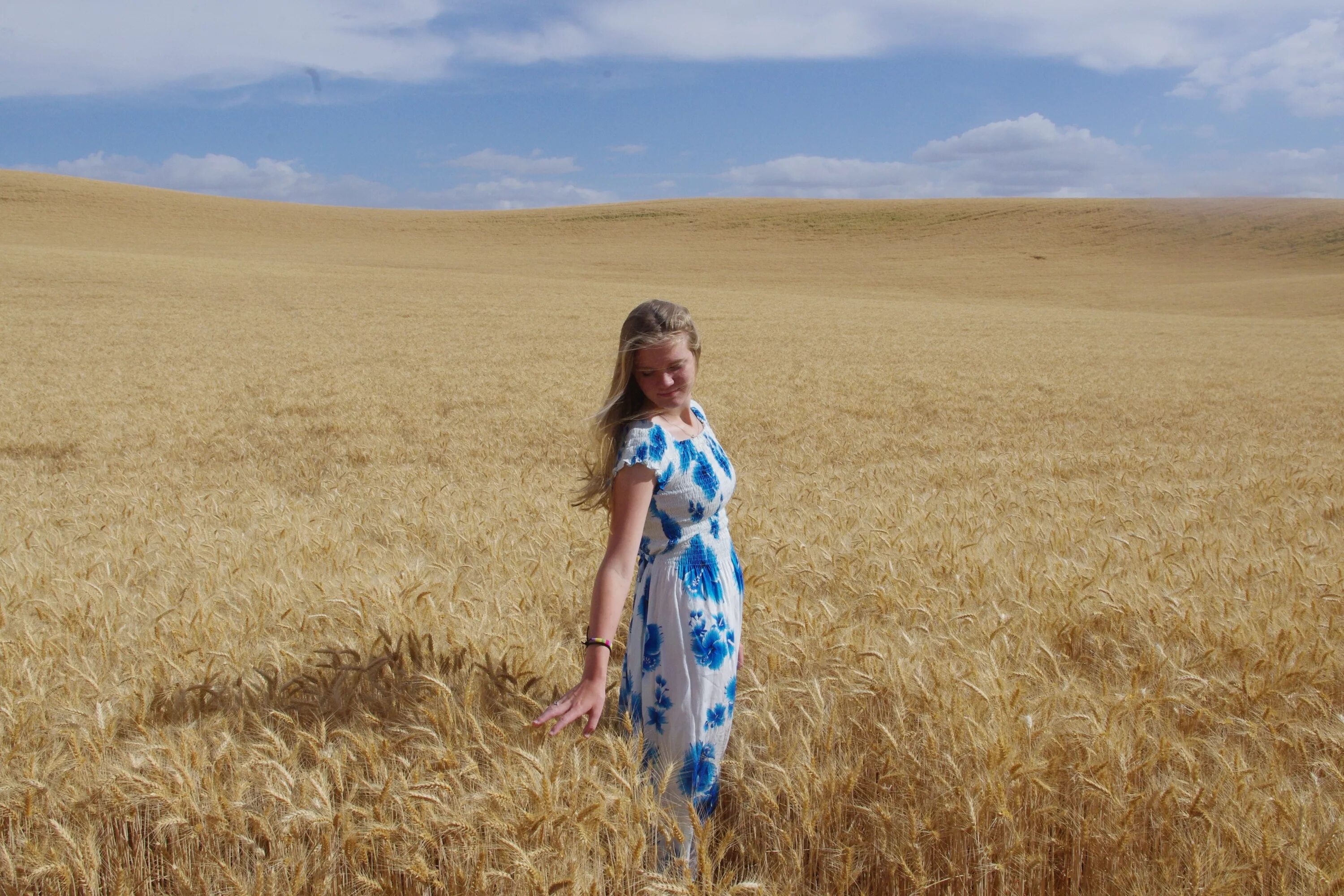 Фотосессия в пшеничном поле. Девушка в поле. Девушка в пшеничном поле. Фотосессия в пшеничном поле в голубом платье.
