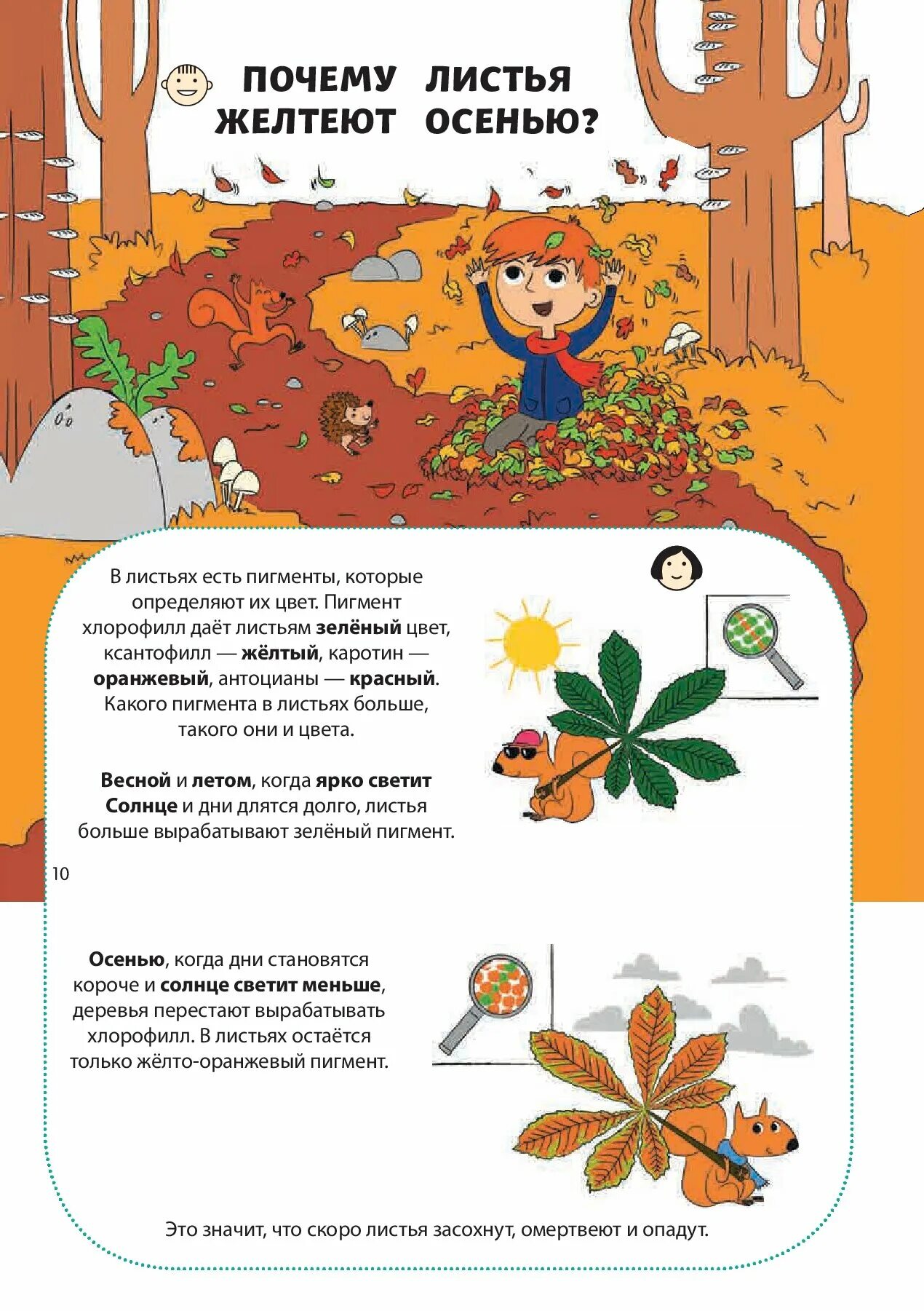 Почему желтеют листья детям. Почему желтеют листья?. почему листья желтеют осенью для детей. почему листья желтеют осенью книга. почему желтеют листья осенью для дошкольников.