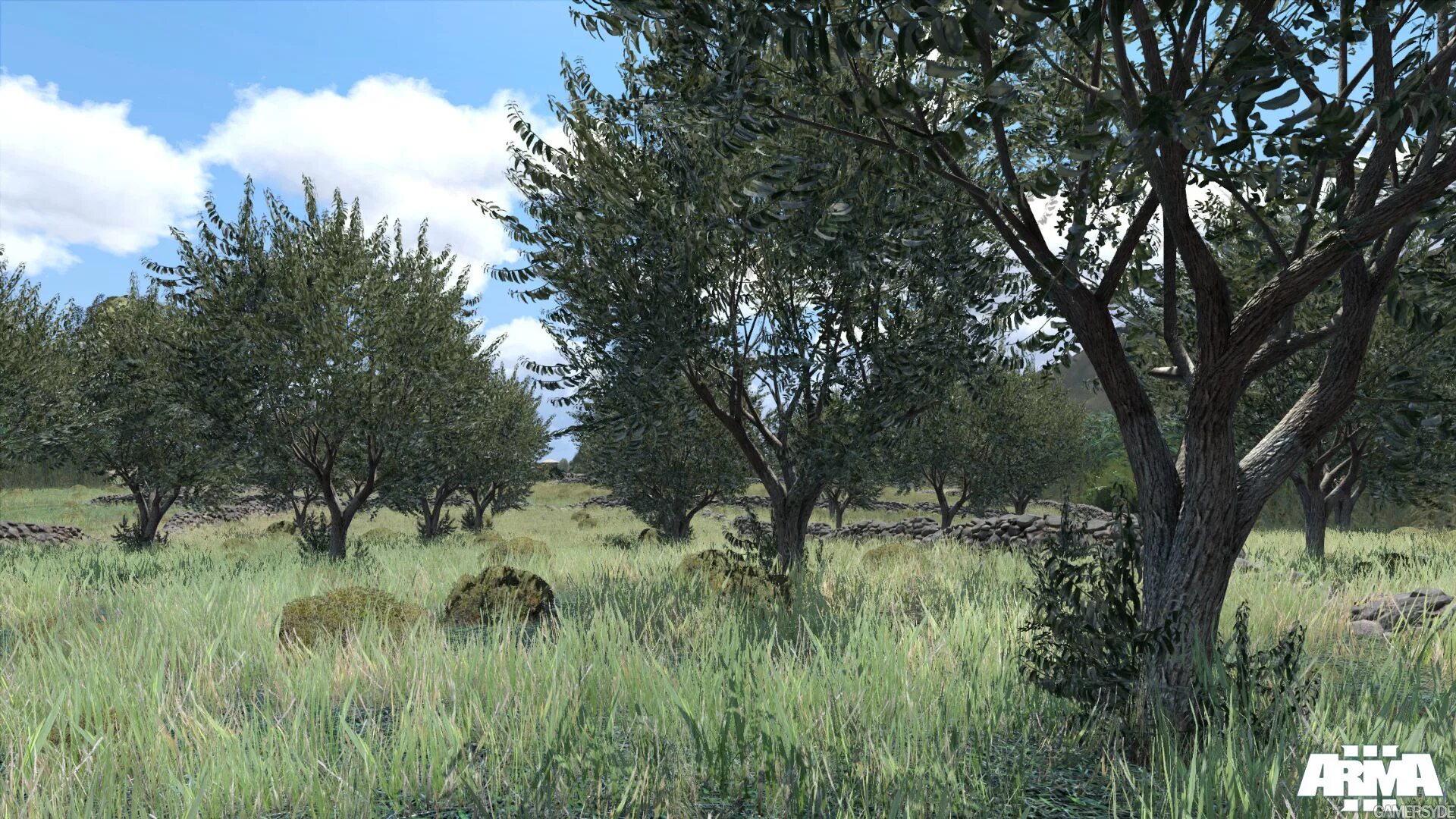 Арм зоне. Arma 3 скриншоты. арма дерево. арма 3 картинки. arma 3 скриншоты из игры.
