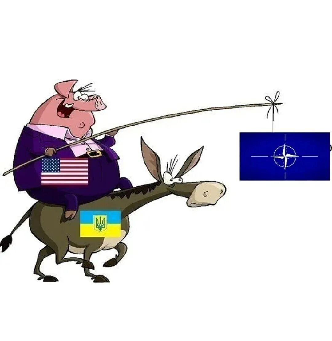 Нато не поможет. Украина НАТО. Киева и НАТО карикатура. Украина НАТО ЕС. Украина просится в НАТО карикатура.