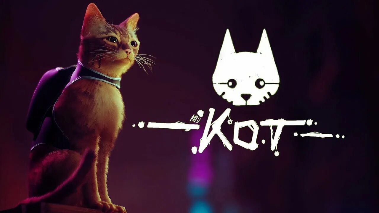 Стрэй игра. Stray игра. Стрей на пс 4. Котики для сони. Stray игра про кота.