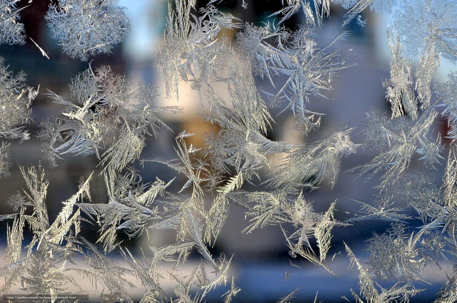 Белый пушистый холодный снег. Морозные узоры на стекле. Белый иней. Иней на ветках. Иней на деревьях.