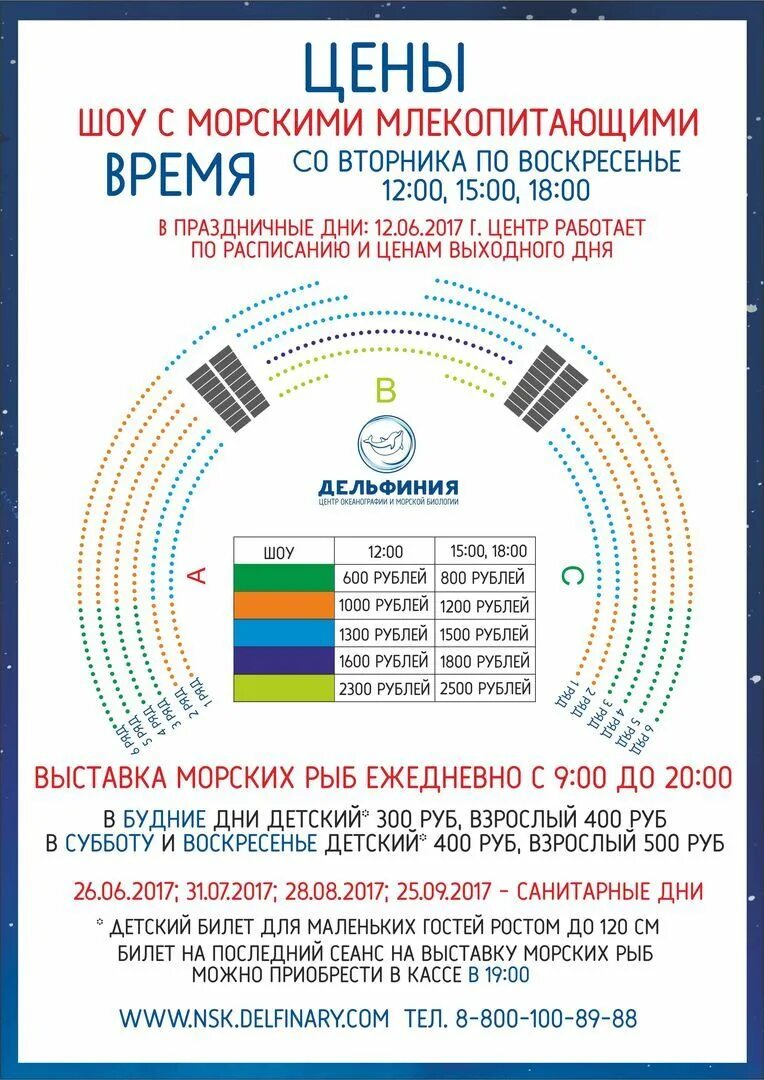 Дельфинарий новосибирск схема зала. Ольгинка дельфинарий. Дельфинарий схема. Дельфинарий в москве. Визитка дельфинарий.