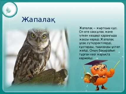 Анжелика минетімен порно