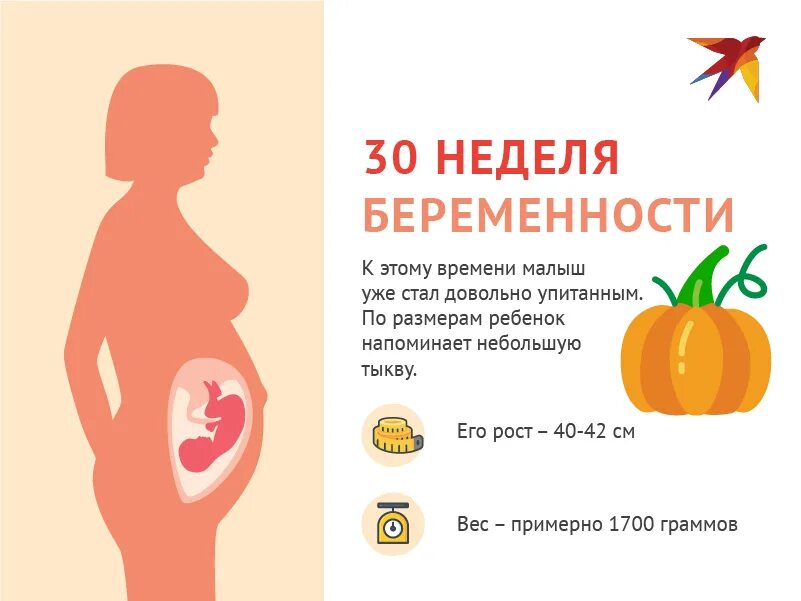 28 неделя беременности можно. Плод 31-32 недели беременности вес ребенка. положение ребенка на 32 неделе беременности. 32 неделя беременности от зачатия. 30 неделя беременности размер ребенка.