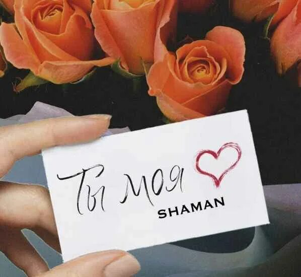 Шаман ты моя караоке. Ты моя Shaman. Shaman - ты моя (2022). Шаман ты моя. Шаман певец ты моя.