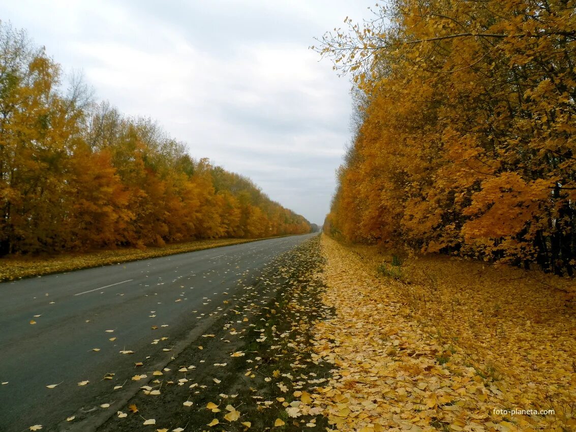 Город орел осень. Осень. Природа осень. Природа россии деревня. Р п осень.
