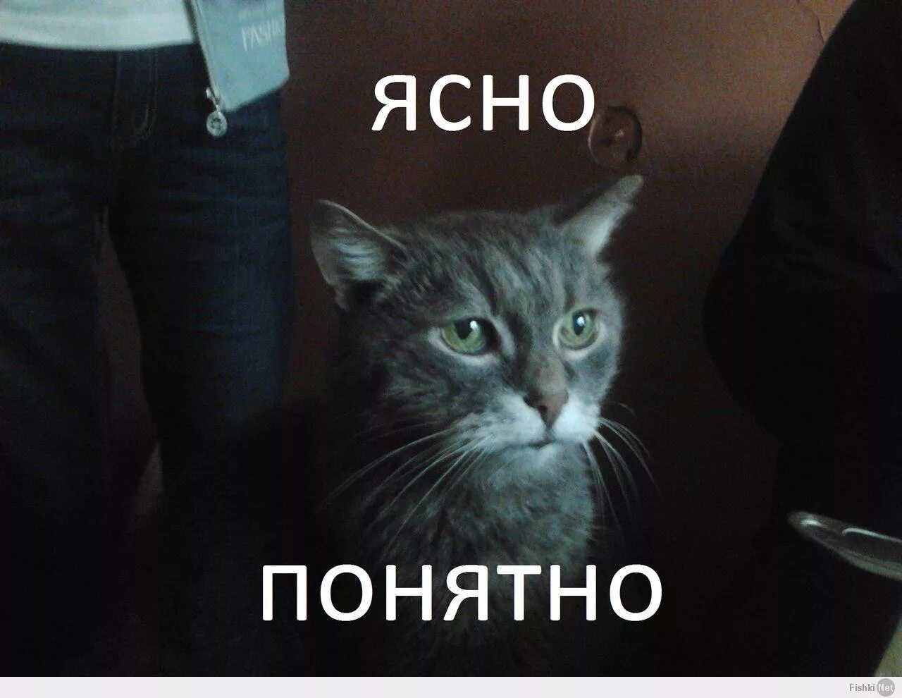 Давно было ясно