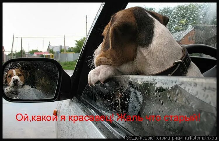 Все чудесатее и чудесатее цитата. Чудесатые чудеса. все чудесатей и чудесатей цитата. чем дальше тем чудесатее и чудесатее. жизнь становится чудесатей.
