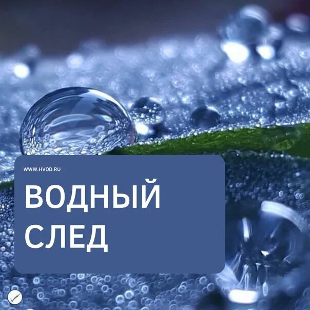 Водный след продуктов. Водный след вещей. Водный след это. Водный след человека. Водный след вещей.