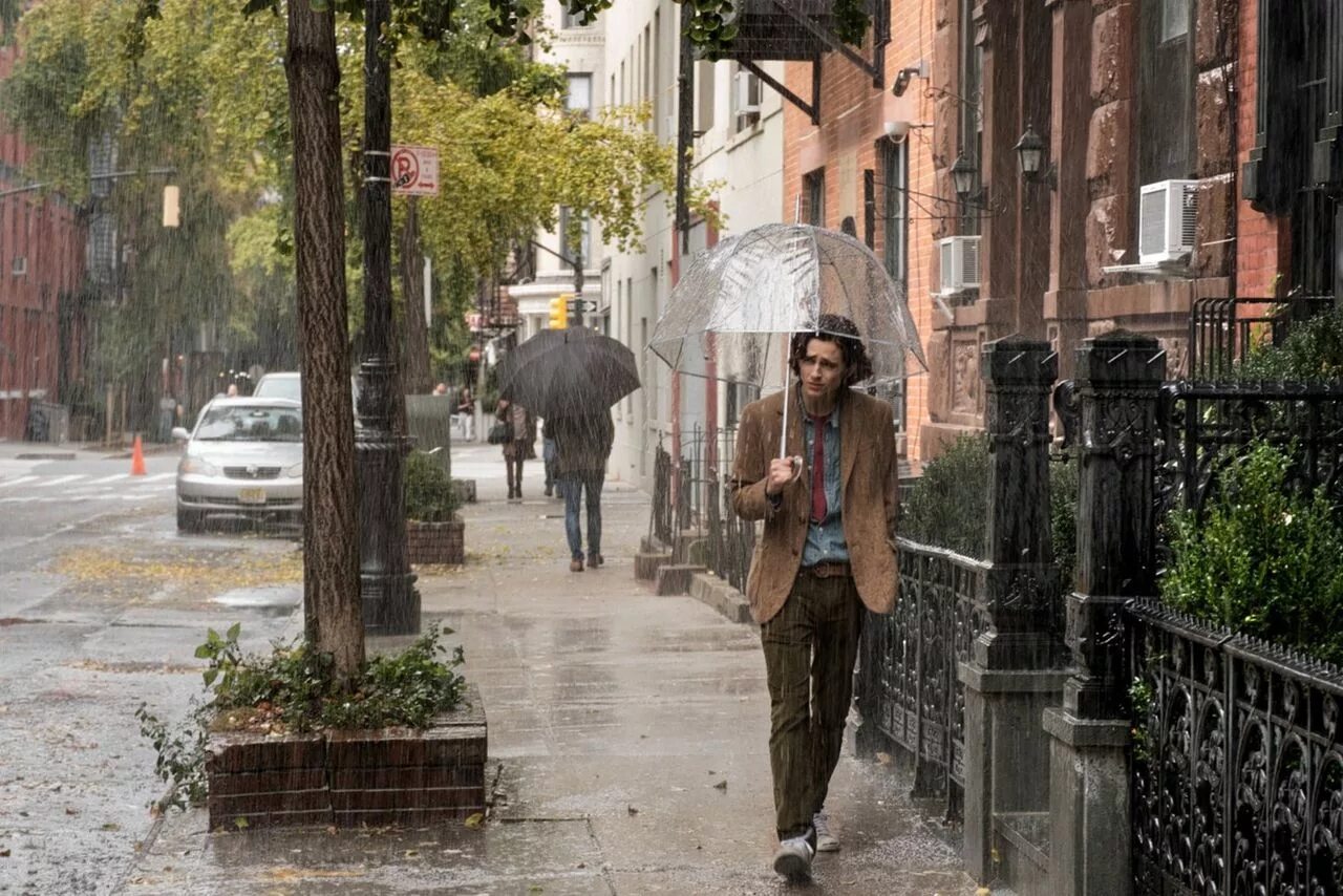 В дождливый день я подходил. Тимоти Шаламе дождливый день в Нью-Йорке. Вуди Аллен дождливый день в Нью-Йорке. Тимоти Шаламе на улицах Нью-Йорка. Осень в Нью-Йорке с Тимоти Шаламе.