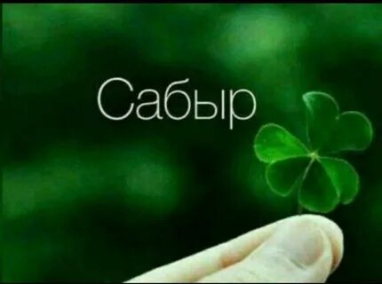 Сабыр