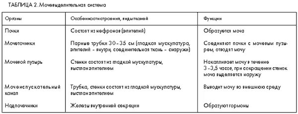 Строение и функции выделительной системы таблица. Выделительная система органы и функции таблица. Таблица органы выделительной системы строение функции. Строение выделительной системы орган, строение, функции.