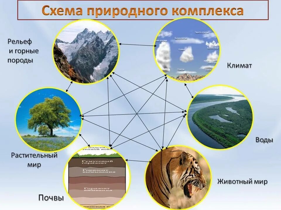 Что общего в природных