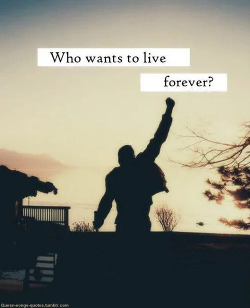 Queen who wants to Live Forever. Who wants to Live Forever картинки. Куин хочешь жить вечно. Who once to Live Forever текст.