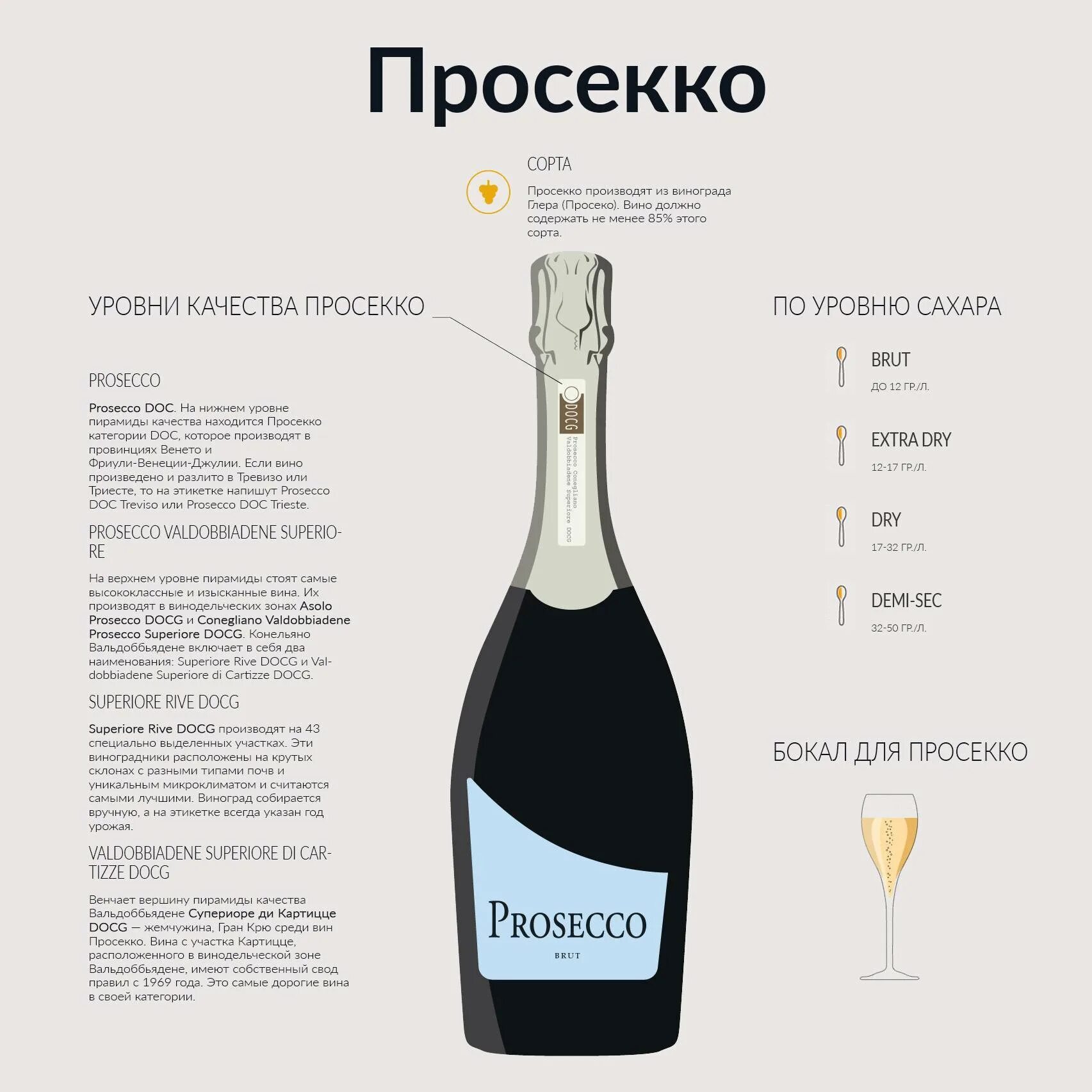 Классификация Просекко. Шампанское Prosecco Prosecco. Шампанское Просекко doc.