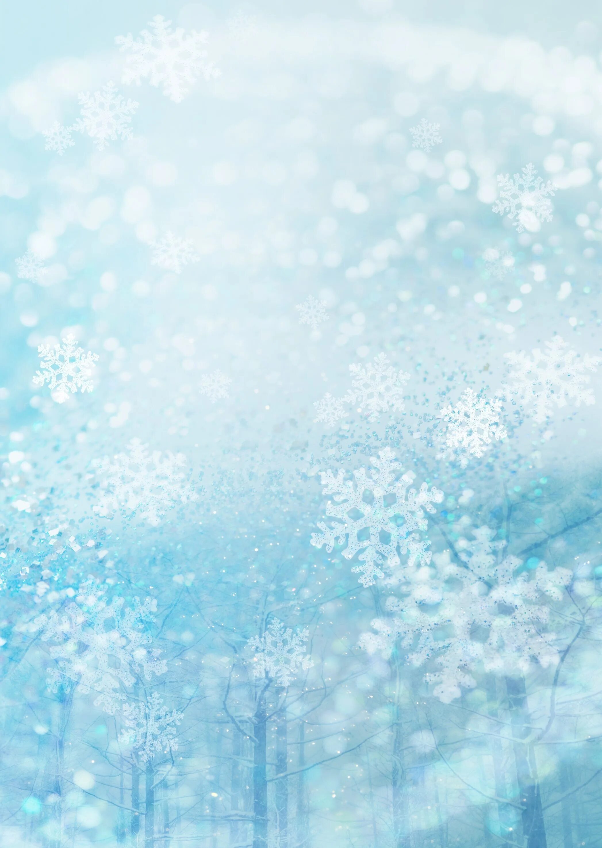 обои зима. зимний фон. зимний фон для презентации. красивый зимний фон вертикальный. снежные ветки.