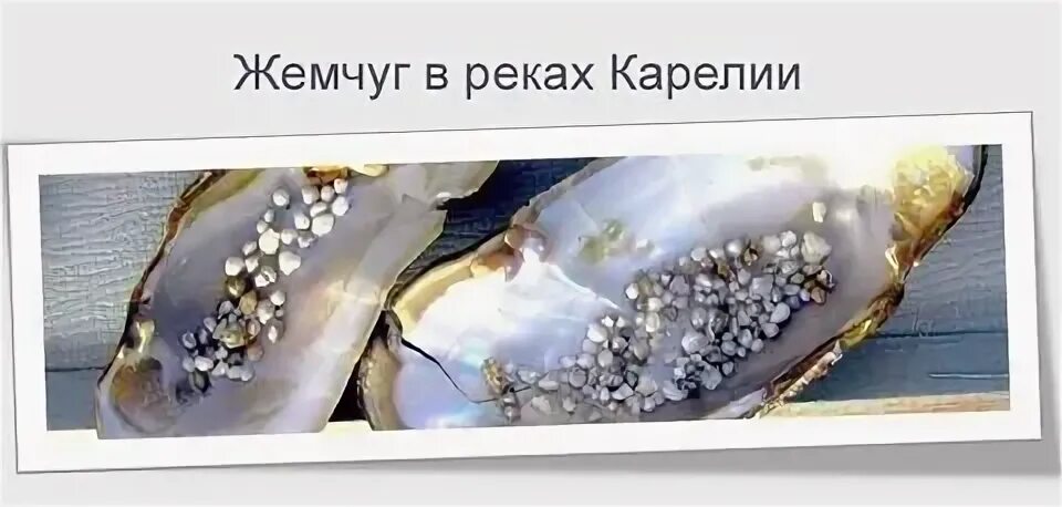 История жемчужины