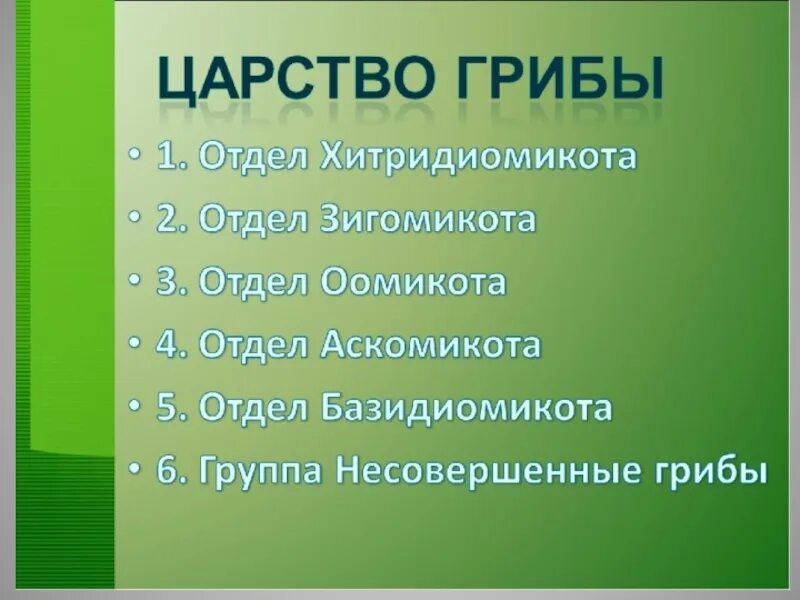 Группы грибов 7 класс биология. Царство грибы отдел Хитридиомикота. Отделы грибов таблица. Царство грибов отдел класс. Характеристика отделов грибов.