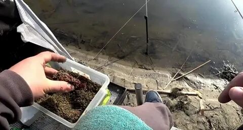 Место для приманки